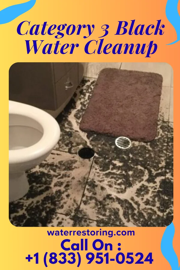 Category 3 Black Water Cleanup in Pottery Addition, OH