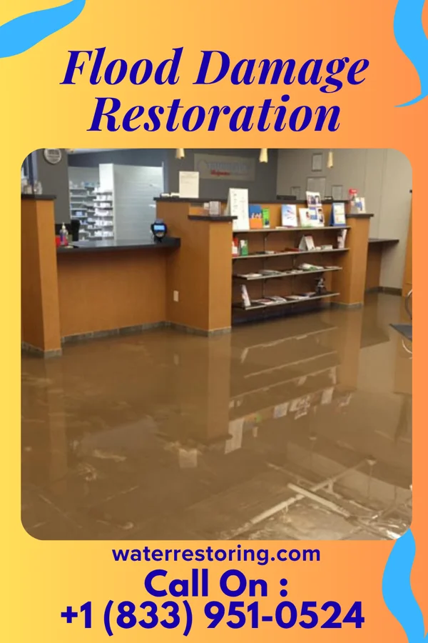Flood Damage Restoration in Pottery Addition, OH
