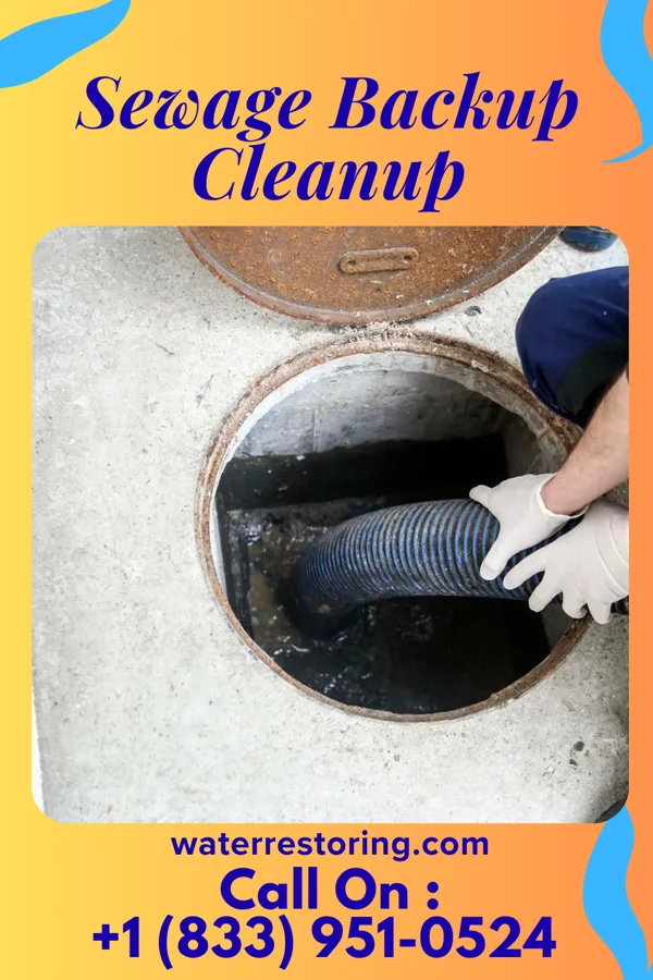 Sewage Backup Cleanup in Pottery Addition, OH