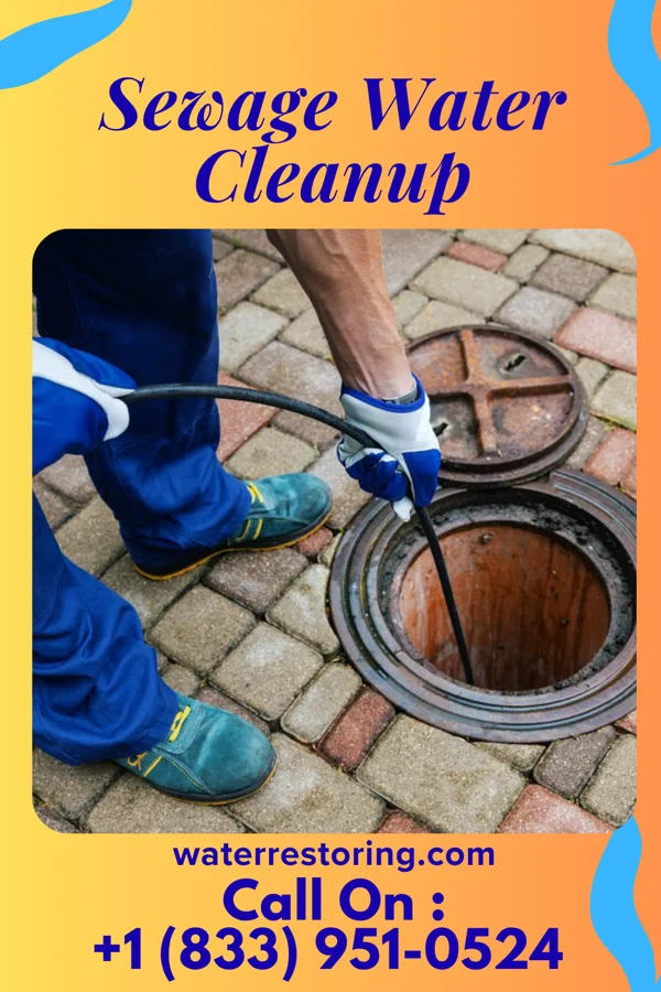 Sewage Water Cleanup in Pottery Addition, OH