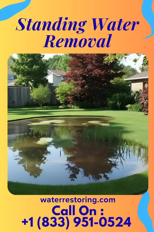 Standing Water Removal in Pottery Addition, OH